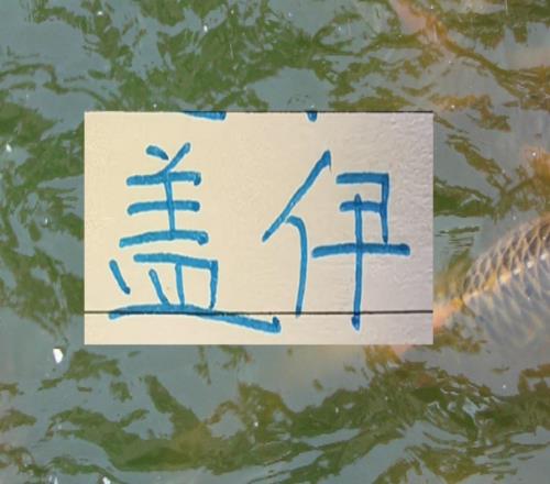 申花也是找到比马莱莱更厉害的前锋盖伊踢中超足够了