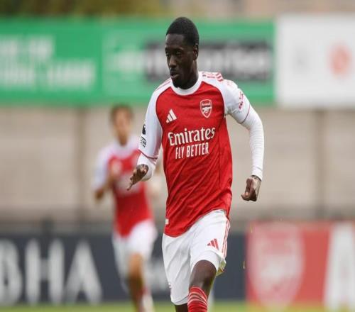 官方：阿森纳21岁小将查尔斯萨戈租借加盟瑞典球队卡尔马