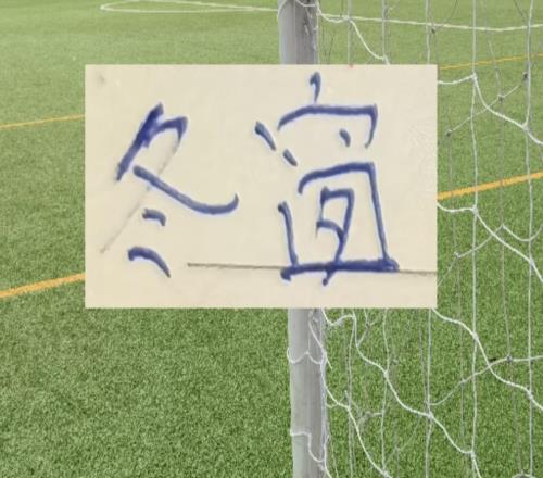 中超法国外援!有北京国安的恩科洛洛重庆梁铁龙的阿马杜