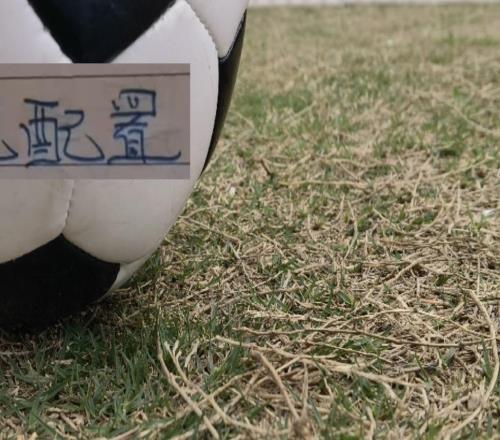 申花的人员配置在中超是够用的就看3月能否扭转局势！