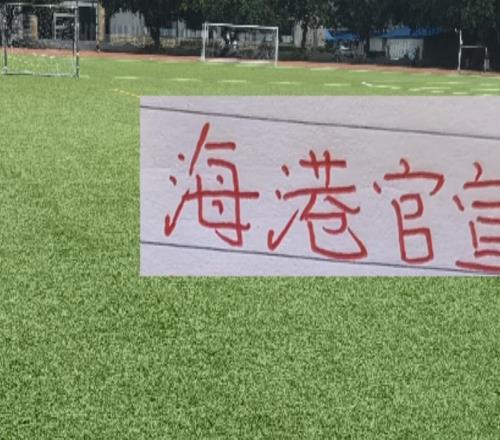 喜讯！海港也有自己“黑风双煞”扭转局势就看海港新大鱼