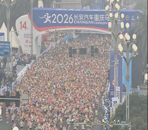 马拉松:为什么很多跑者倒在了终点前