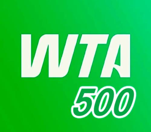 张帅重返500赛四强,袁悦不敌美国人,梅总横扫FAA与荷一哥争冠