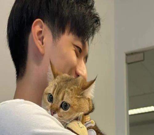 你是真用心,也是真下血本啊......