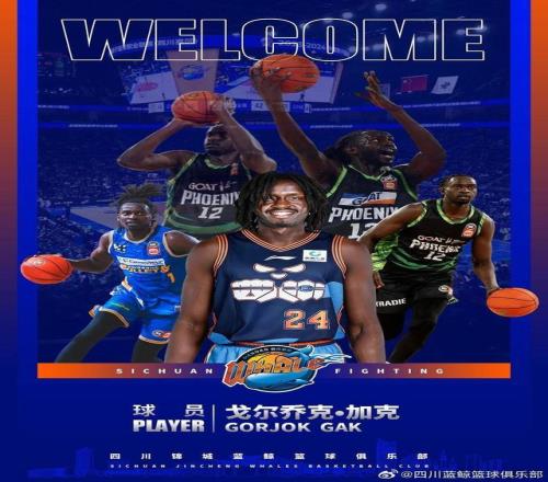 四川男篮签下澳洲中锋元旦将迎来主场首秀
