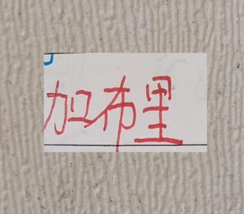 中超优质进货商！北京国安进货发飙拿到金靴海港的加布拿到冠军