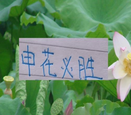 现阶段的申花要拿冠军！最大的依仗还是锋线进球能力