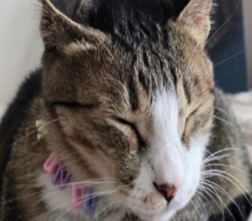 不搞张自拍Peanut评论Viper的ins：只传蒙多的照片有点可惜捏