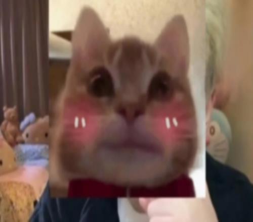 涵艺：IG签Elk方面领先很多结果我在WBG基地遇袁玺说Elk改主意了