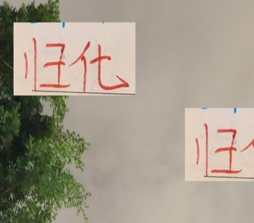 中超前4的归化球员海港的蒋光太申花的李可也是物有所值