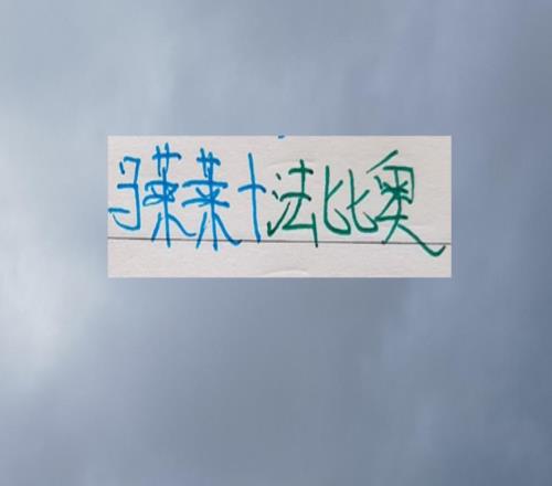 都不是外人！前申花前锋马莱莱跟中超金靴法比奥放假一起训练！